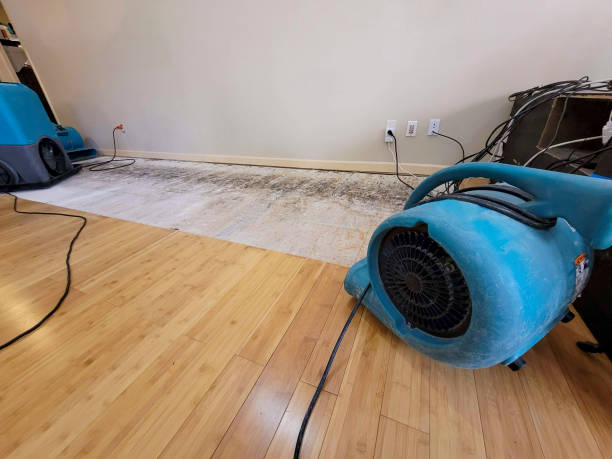 Professional Water Removal technician working in Amber, OK